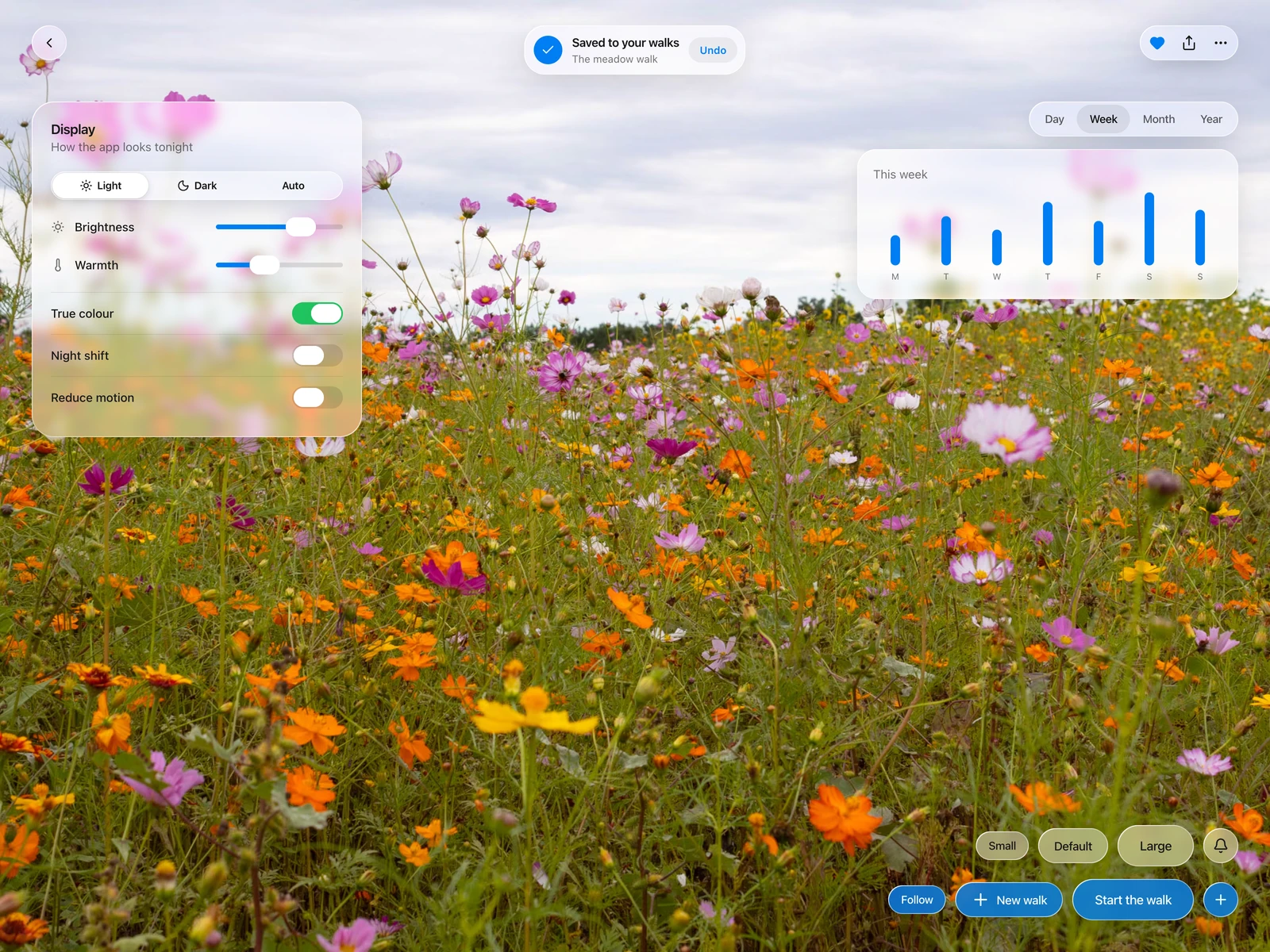 Every control over a photograph: toolbar, toast, segmented control, sliders, switches, tabs and buttons