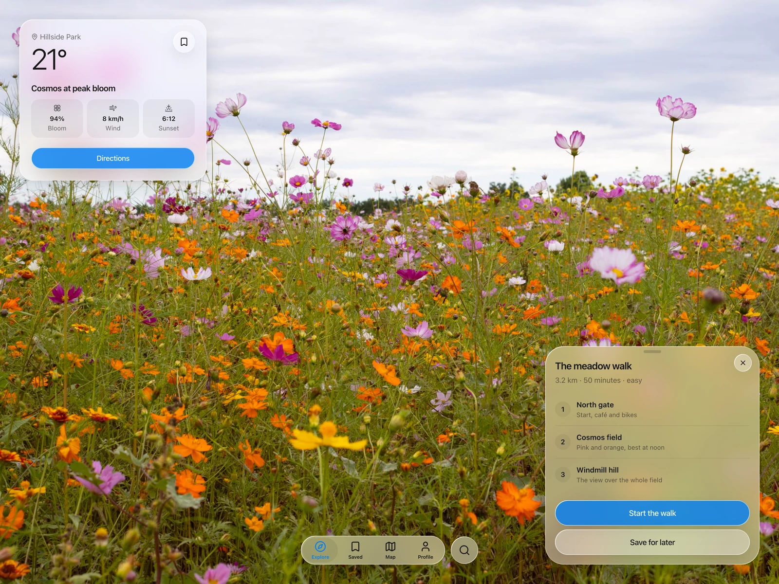 The first scene as Safari and Firefox draw it: frosted glass without the bend